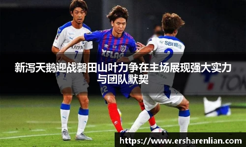 新泻天鹅迎战磬田山叶力争在主场展现强大实力与团队默契